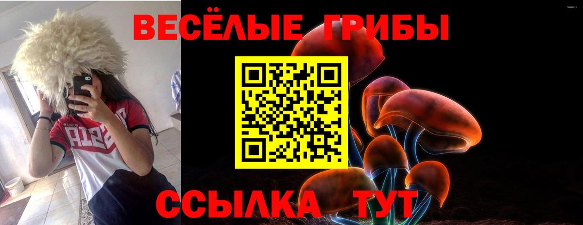 Псилоцибиновые грибы Psilocybine cubensis Углич